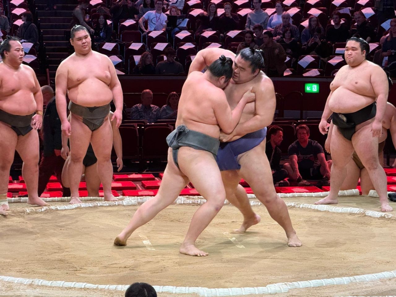 ***Watch Our Happy New Year Video and Angela's Sumo Update on Our YouTube Channel***